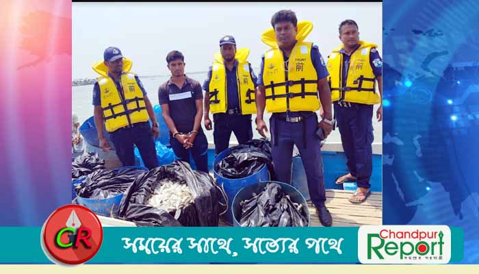 মতলব উত্তরে মেঘনা নদীতে ৬’শ কেজি পোনা ইলিশসহ গ্রেপ্তার ১