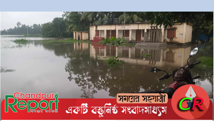 টানা বর্ষণে মেঘনা-ধনাগোদা সেচ প্রকল্প বেড়ীবাঁধের ভেতর ব্যাপক জলাবদ্ধতা