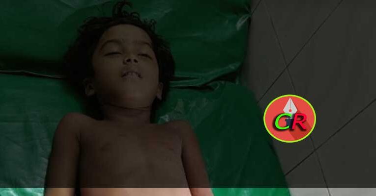 মতলব উত্তরে ডোবায় পড়ে ৬ বছরের শিশুর মৃত্যু