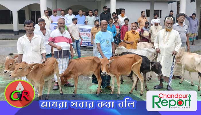 মতলব উত্তরে নিবন্ধিত জেলেদের মাঝে গরু বিতরণ