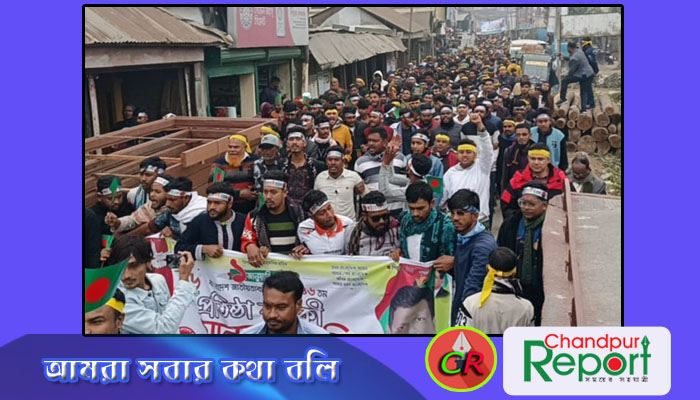 ছাত্রদলের প্রতিষ্ঠা বার্ষিকী উপলক্ষে মতলব উত্তরে বর্ণাঢ্য শোভাযাত্রা ও আনন্দ র‍্যালী