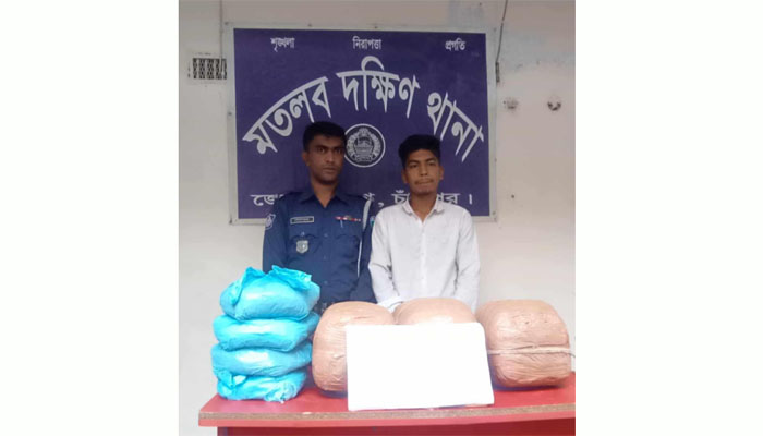 মতলব দক্ষিণে ১৬ কেজি গাঁজাসহ মাদক ব্যাপারী আটক, মাইক্রো জব্দ