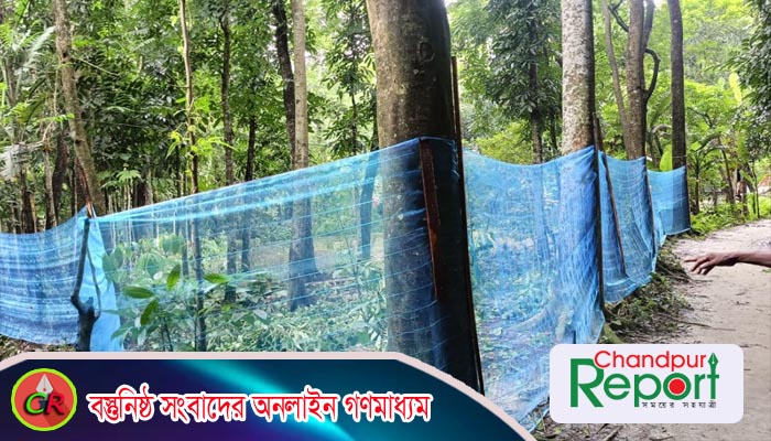 মতলব উত্তরের টরকীকান্দায় জমি দখল ও প্রাণনাশের হুমকি: নিরাপত্তাহীনতায় ভোগছেন এক পরিবার