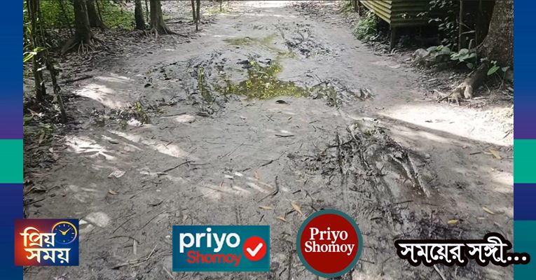 মতলব উত্তরে ছেংগারচর পৌরসভায় দেড় কিলোমিটার সড়কের বেহাল দশা, চরম ভোগান্তিতে স্থানীয়রা