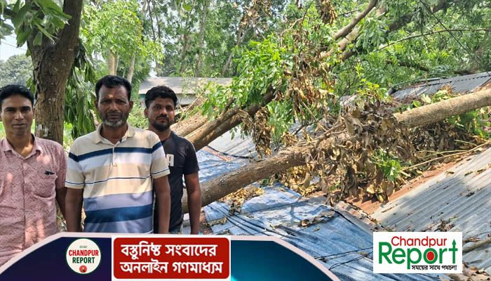 মতলব উত্তরে লুধুয়ায় কালবৈশাখী ঝড়ে মুরগির খামার লণ্ডভণ্ড : ৭শ’ মুরগির প্রাণহানি