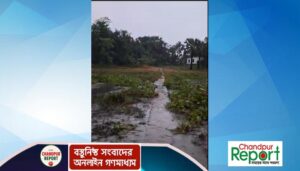 মতলব উত্তরে সিপাই নদীর পূর্বপাড় মাইজকান্দি খেয়াঘাটের রাস্তা নির্মাণ জরুরী