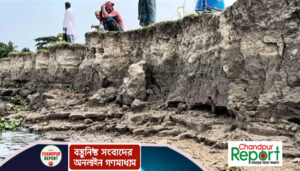 মতলবের মেঘনা-ধনাগোদা নদীতে তীব্র ভাঙন, নেপথ্যে বালু উত্তোলন
