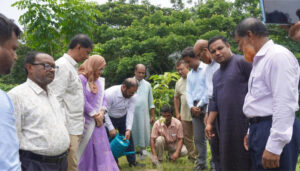 মতলব উত্তরে উপজেলা প্রশাসন, ইউনিয়ন পরিষদ ও ভূমি অফিস পরিদর্শনে জেলা প্রশাসক