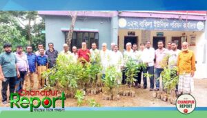 হাজীগঞ্জ উপজেলার ২নং বাকিলা ইউনিয়নে বৃক্ষরোপণ উৎসব