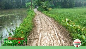 হাজীগঞ্জের মৈশাইদ পল্লীমঙ্গল হাইস্কুলের কাঁচা রাস্তার বেহাল অবস্থায় ছাত্র-ছাত্রীর দুর্ভোগ